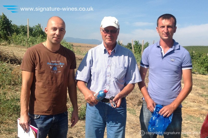 Stobi Vintage 2014 - MW Jo Ahearne Captures the Moment as the First Grapes Arrive